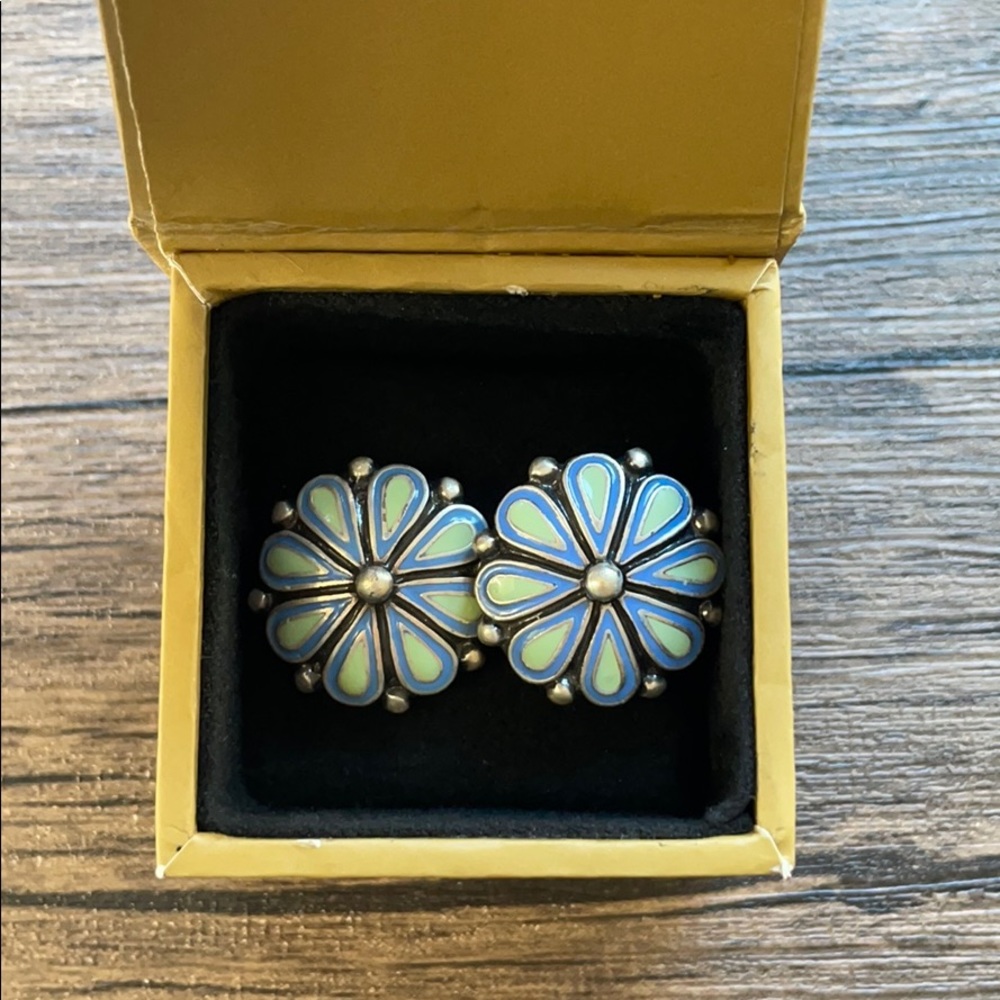 Shades of blue earrings